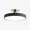 Ceilivon Ceiling Light Wide Diffuser Flush Mount Ceiling Light - Modern Style for Living Room