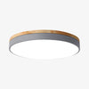 Cielora Round Flush Mount Ceiling Lamp Minimal Profile - Modern Interior Decor