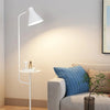 Multifunctional Dual Purpose Integrated Floor Lamp