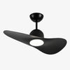 Designer Hat Two-Blade Ceiling Fan Light