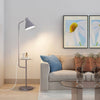 Multifunctional Dual Purpose Integrated Floor Lamp