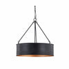 Dravik Contemporary Industrial Drum Pendant — Black Metal Pendant for Living or Dining Room U06