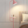Multifunctional Dual Purpose Integrated Floor Lamp