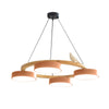 Modern Creative Colourful Circle Bird Chandelier