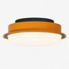ceiling light finish