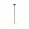 Floriaxis Floral Glass Pendant Light — Floral Glass Shade with Braided Cable for Kitchen or Dining