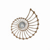 Spiralyn Nautilus Shell Silhouette Modern Wall Lamp - Lighting for Living Room