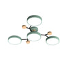 Multihead Disc Morandi Color Branch Ceiling Light