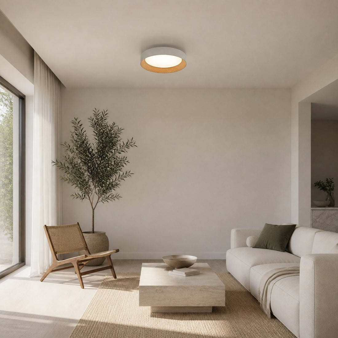 Cedronis Minimalist Ceiling Fixture - Modern Indoor Lighting Solution