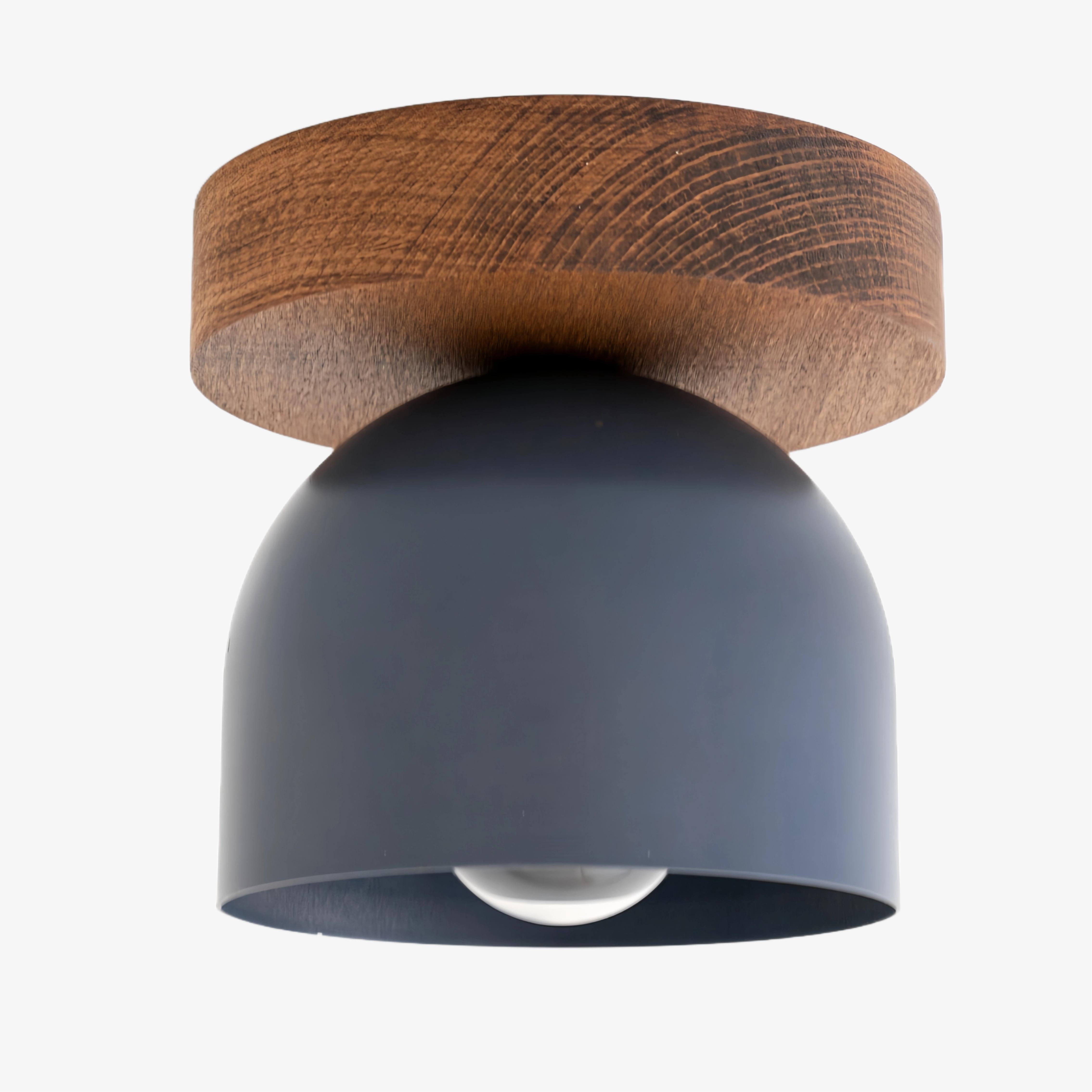 Metio Dome Modern Rustic Ceiling Light - Wooden and Metal Fusion