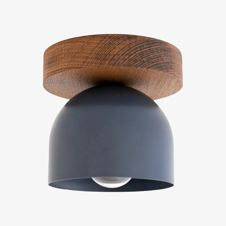 Metio Dome Modern Rustic Ceiling Light - Wooden and Metal Fusion