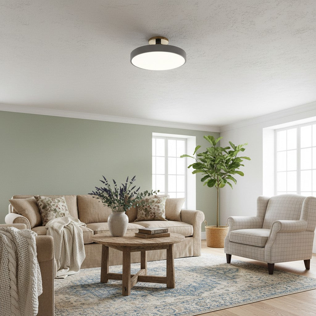 Ceilivon Ceiling Light Wide Diffuser Flush Mount Ceiling Light - Modern Style for Living Room