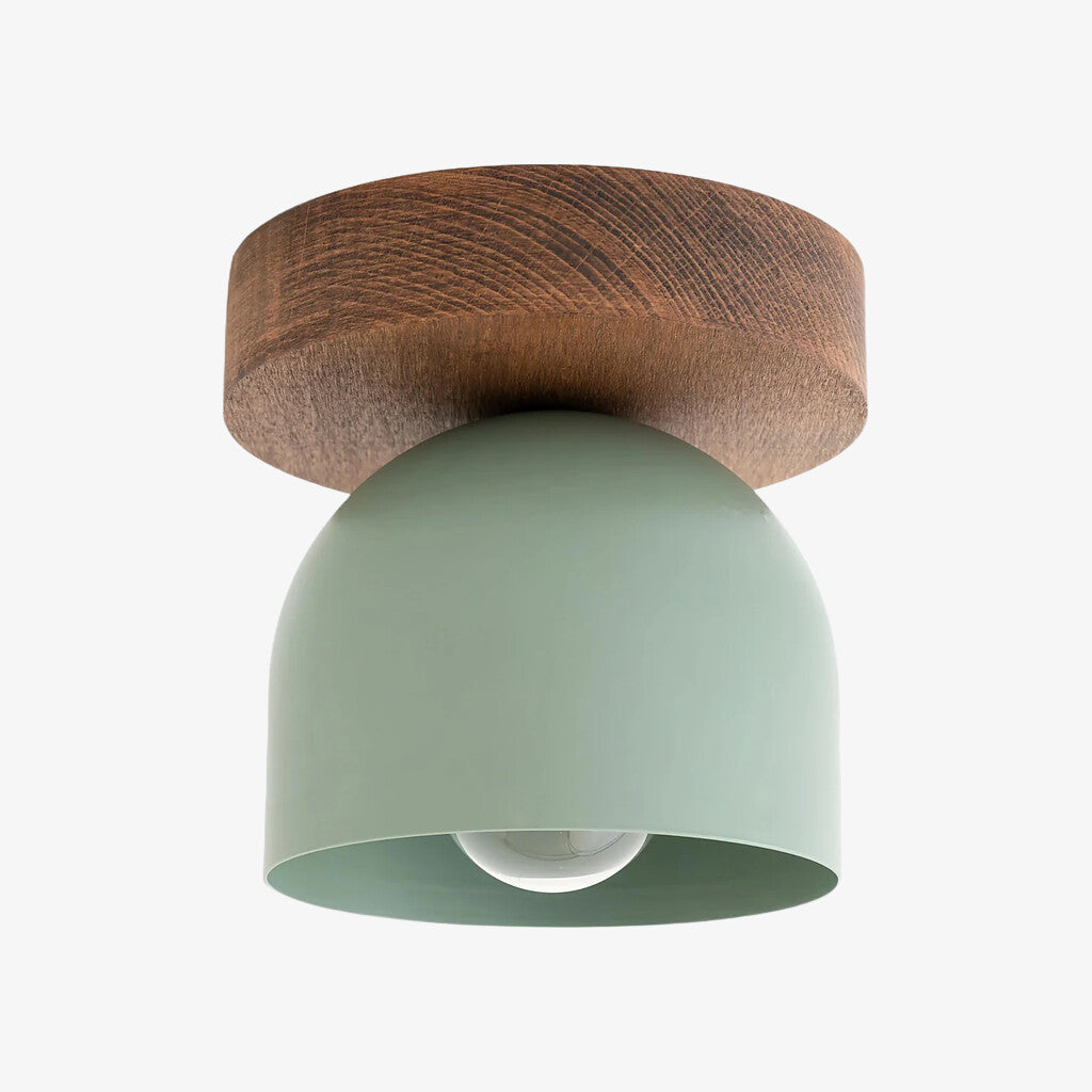 Metio Dome Modern Rustic Ceiling Light - Wooden and Metal Fusion