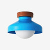 Elystra Modern Ceiling Light Minimalist Glass Shade Metal Fixture for Living Room Kitchen Hallway