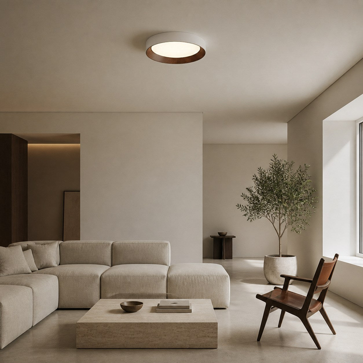 Crelina Contemporary Ceiling Light - Indoor Flush Fixture for Hallway and Dining Area U16