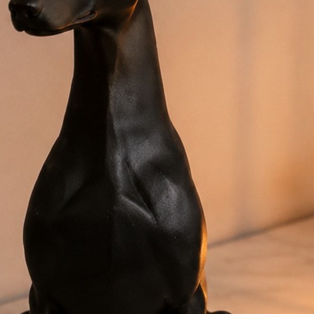 detail
