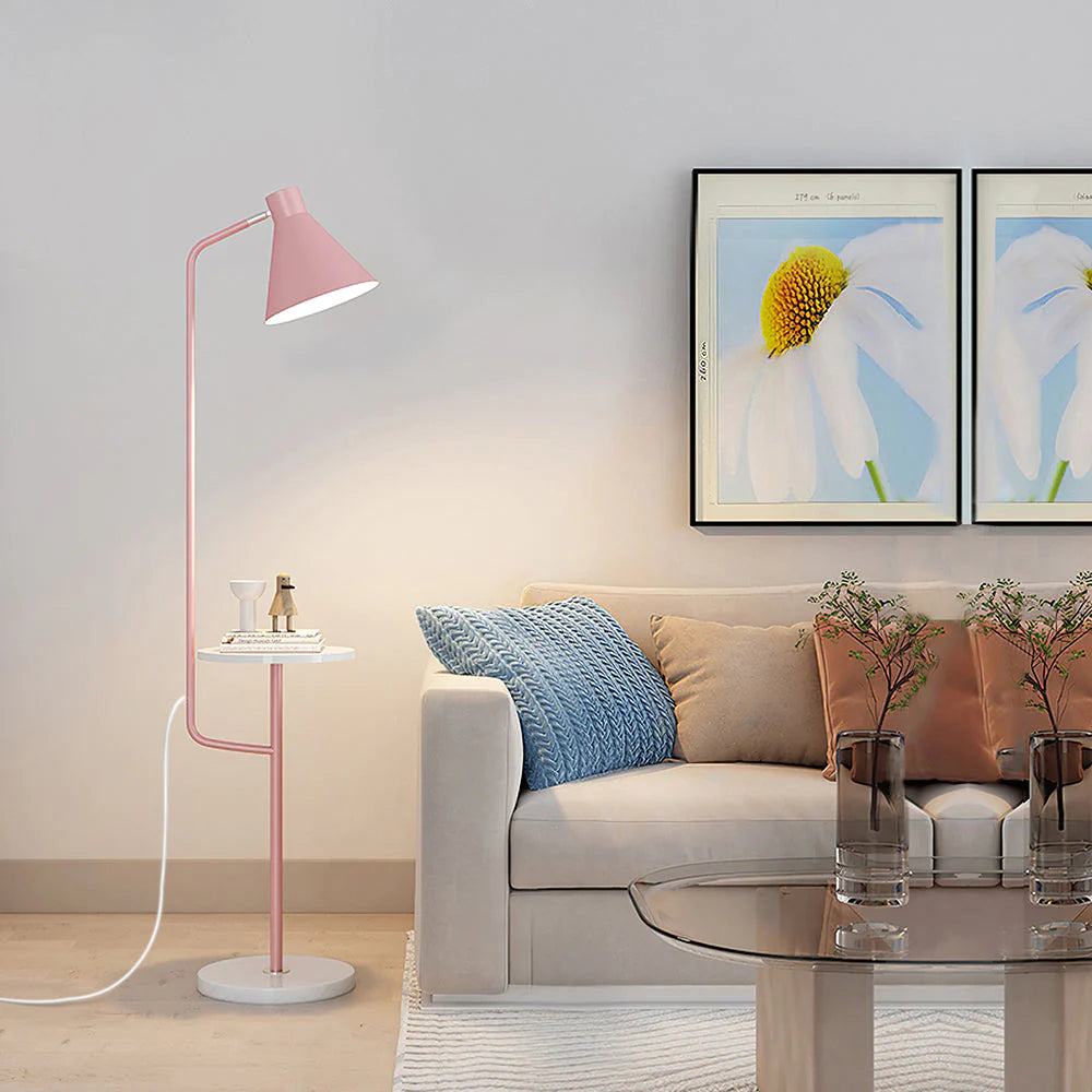 Multifunctional Dual Purpose Integrated Floor Lamp