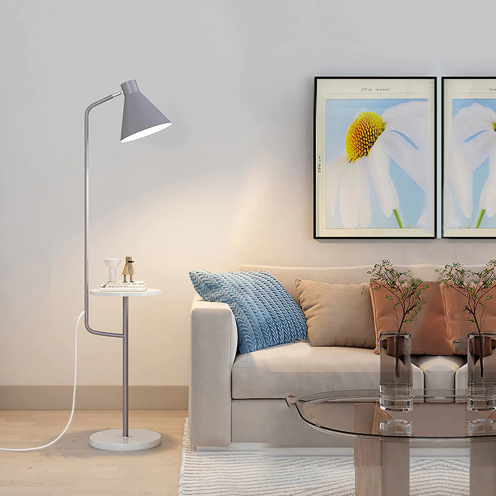 Multifunctional Dual Purpose Integrated Floor Lamp