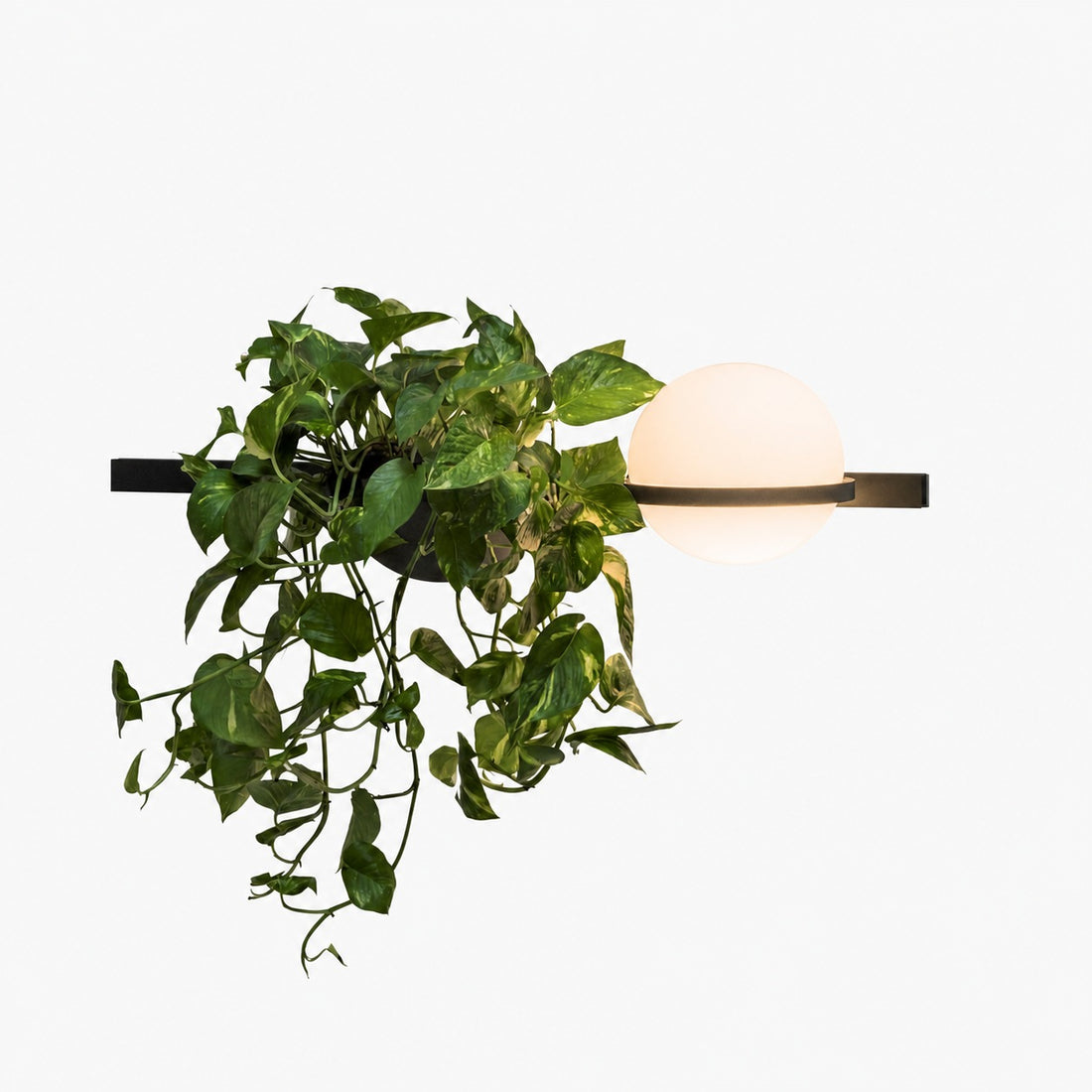 Globe Shade Minimalist Wall Lamp for Indoor and Outdoor Spaces