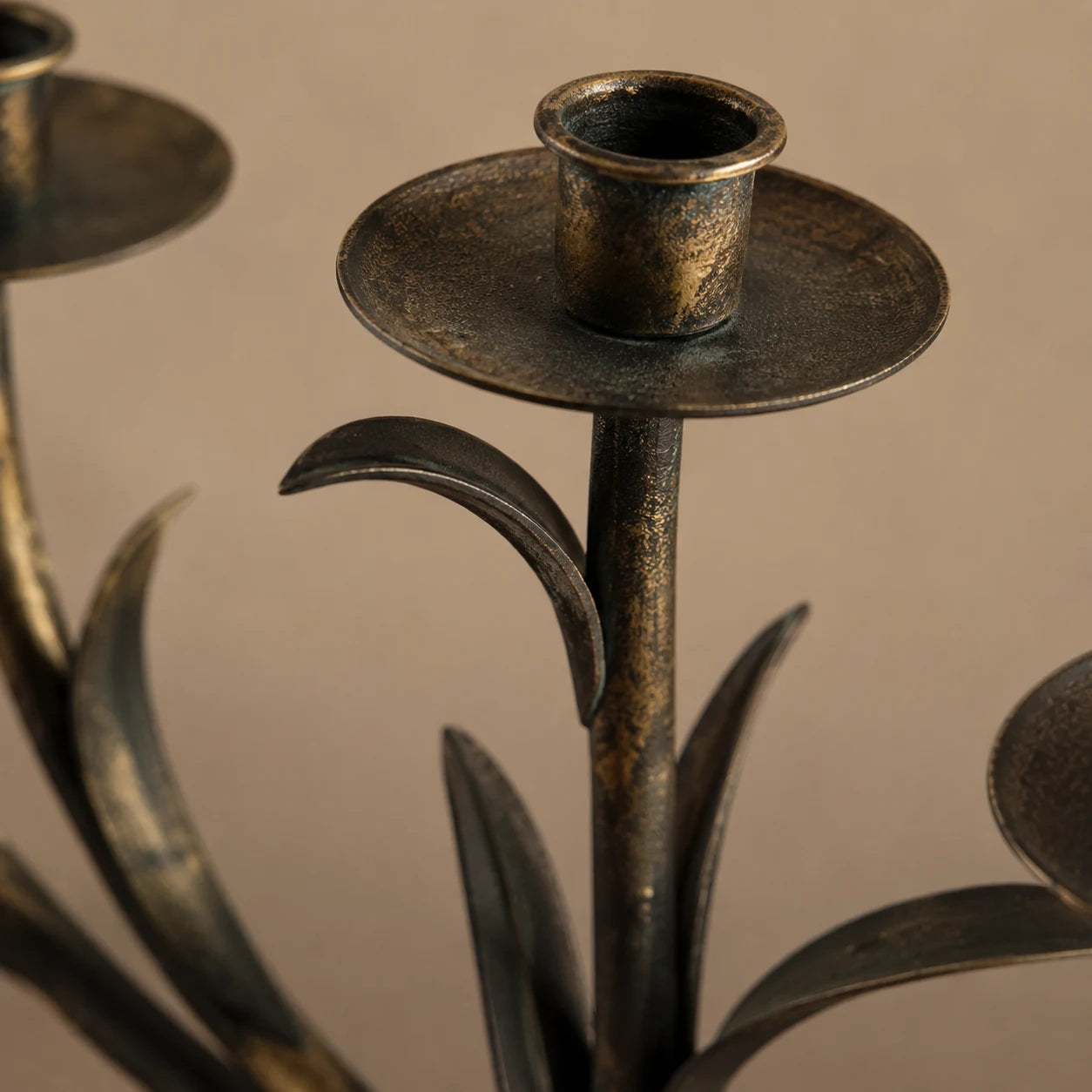 detail