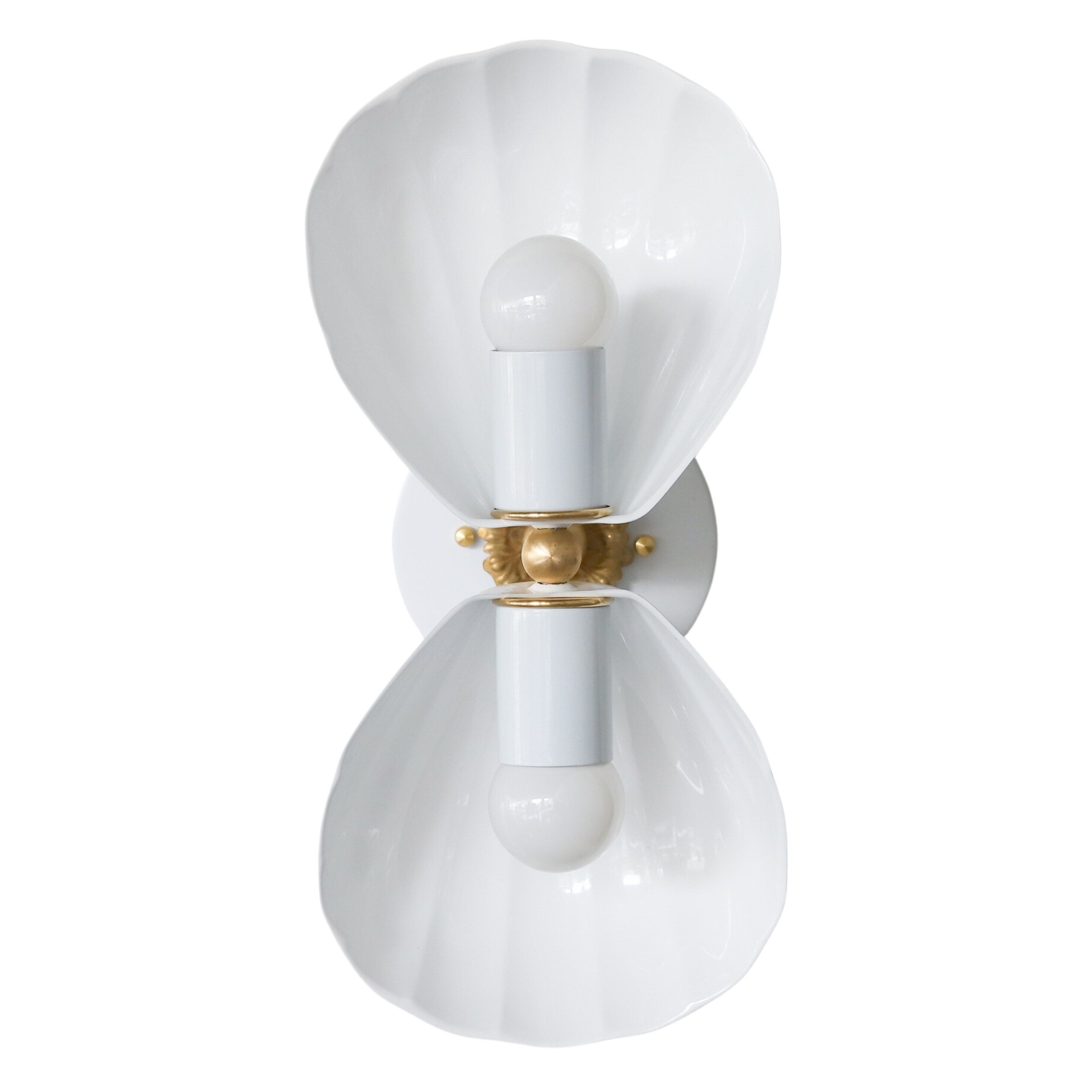 Coastal Shell Wall Light - Double Sconce with Steel and Brass Finish