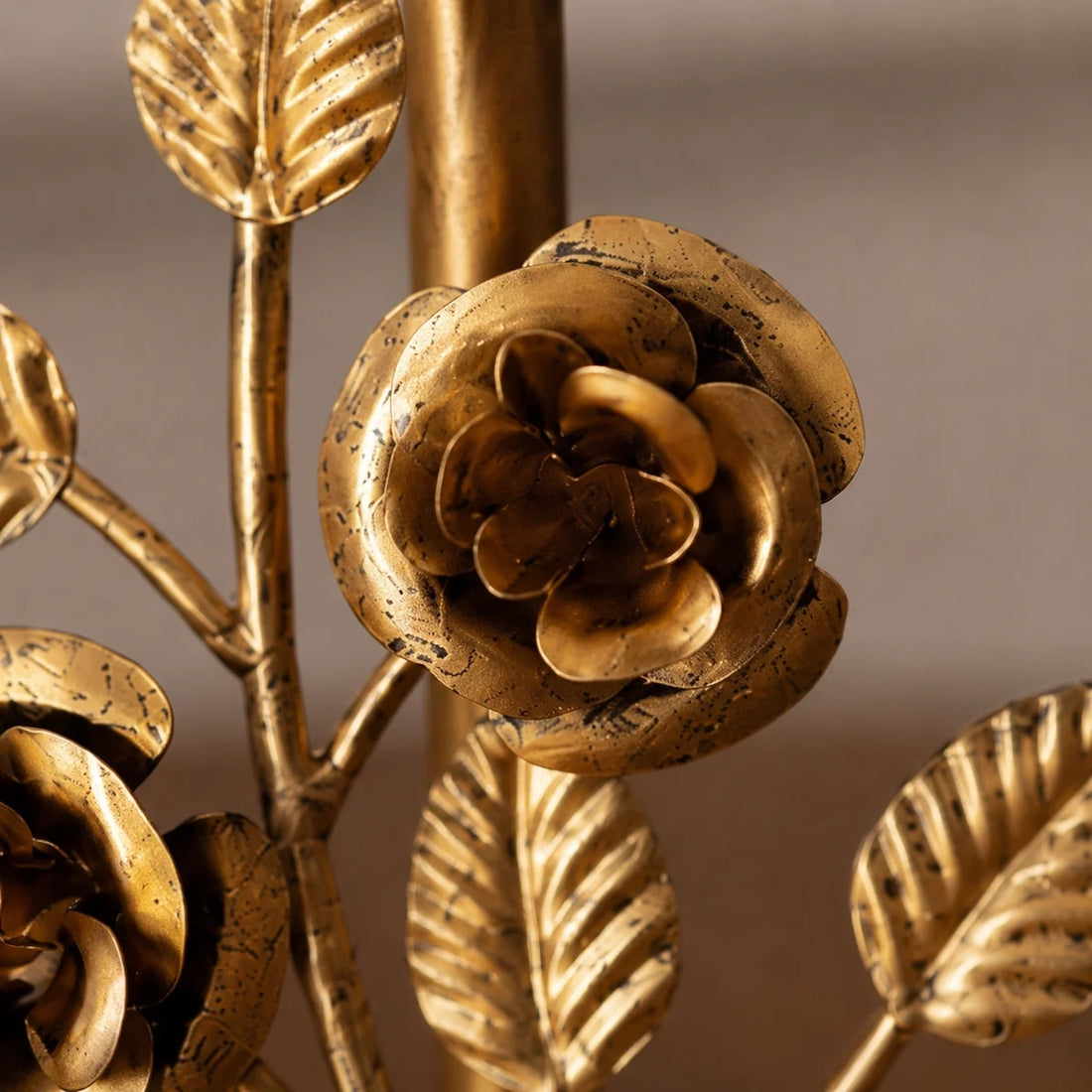 Rose detail