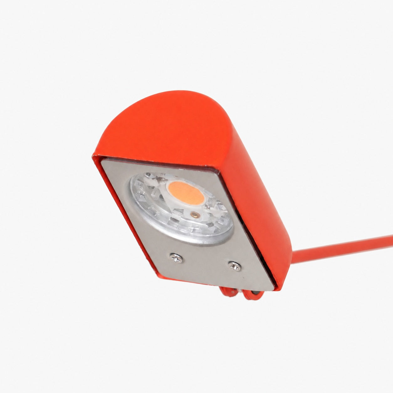 Daphine Table Lamp
