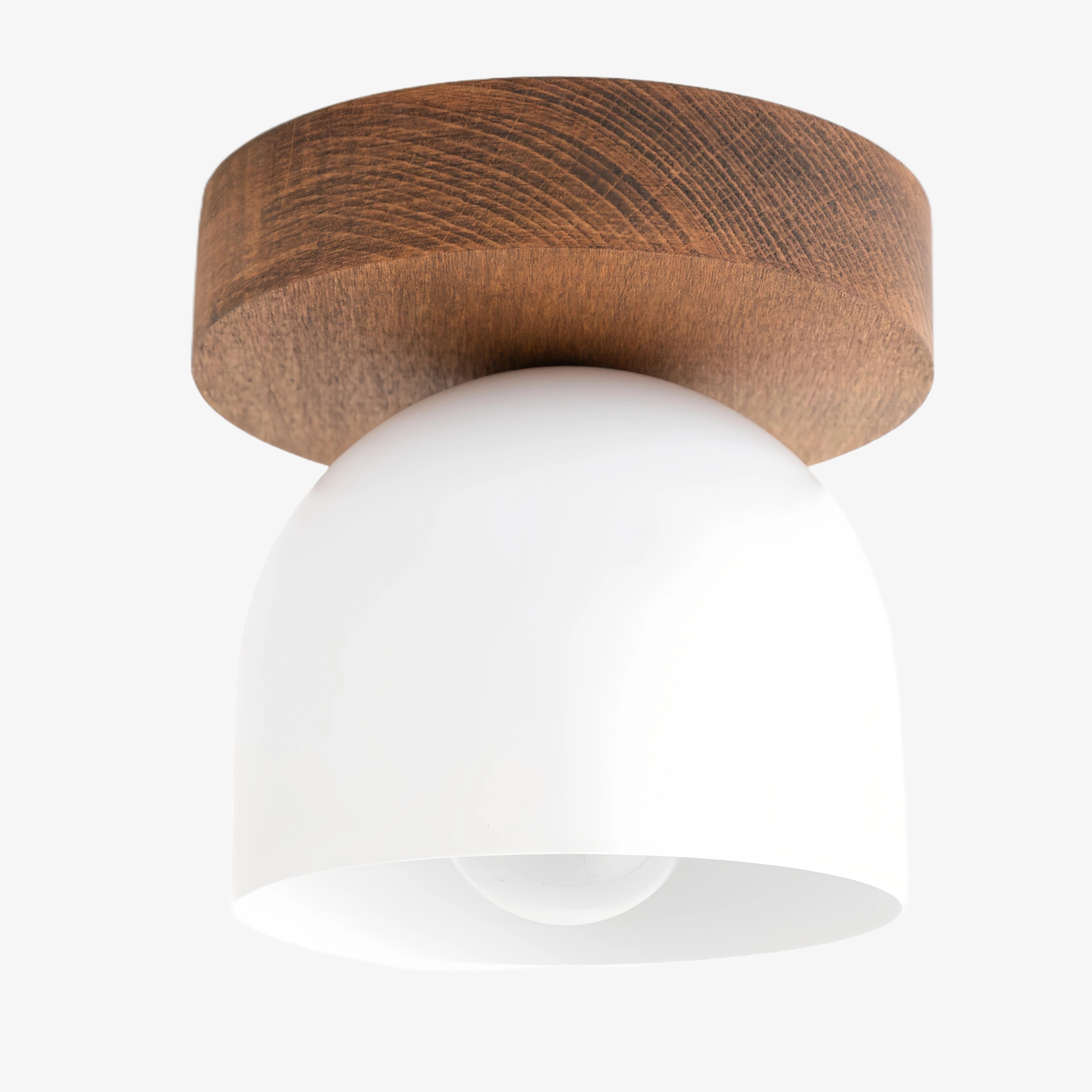 Metio Dome Modern Rustic Ceiling Light - Wooden and Metal Fusion
