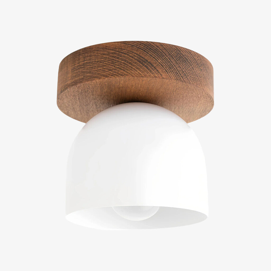 Metio Dome Modern Rustic Ceiling Light - Wooden and Metal Fusion