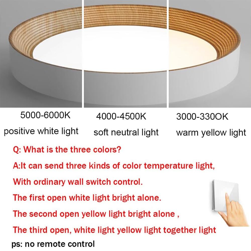 Minimalist LED Round Ceiling Light