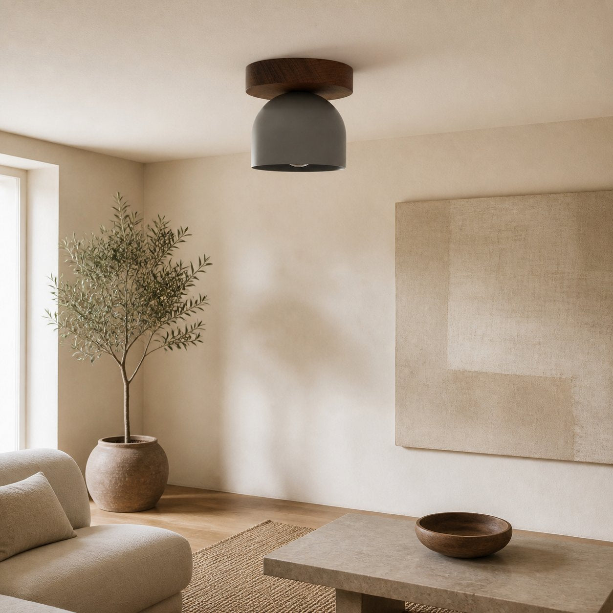 Metio Dome Modern Rustic Ceiling Light - Wooden and Metal Fusion