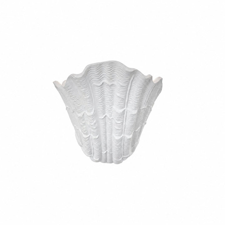 Maris Shell Plaster Wall Lamp