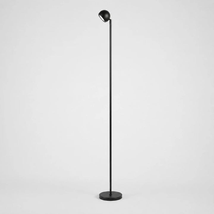 Minimalist Black Smart Remote Floor Lamp