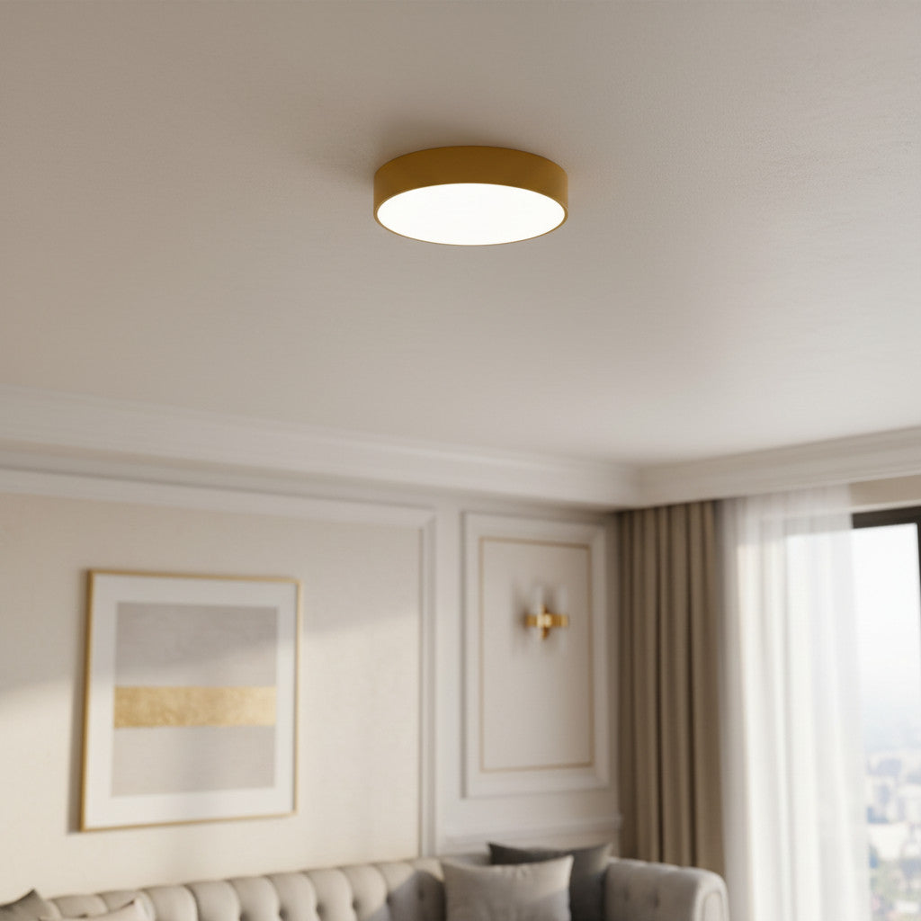 Rondi Minimalist Round LED Ceiling Light - Circular Iron Design for Living Room and Bedroom