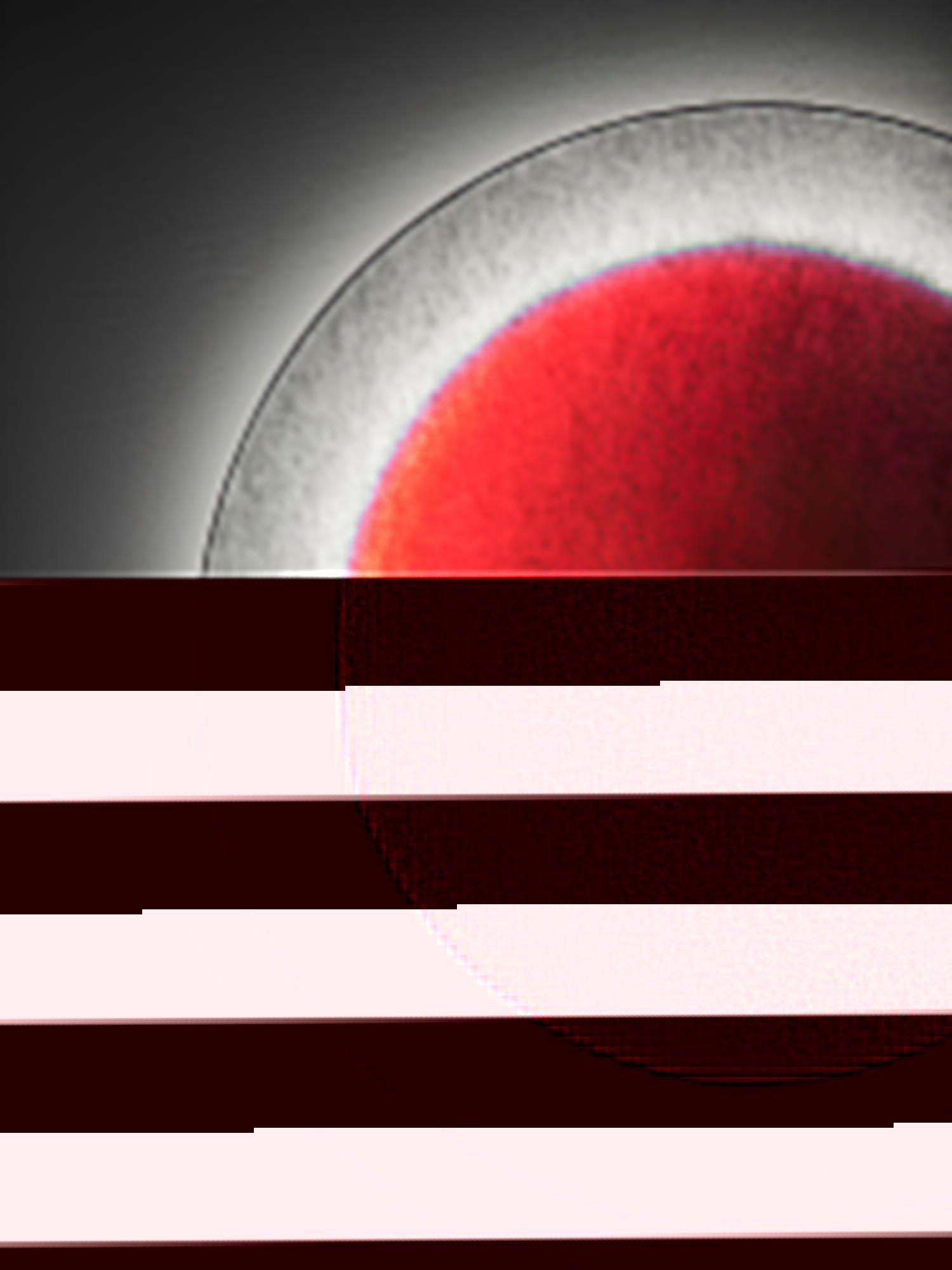 Modern Simple Plug-In Round Wall Lamp