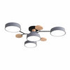 Celos Diffused LED Orb Ceiling Fixture – Stylish Indoor Lighting for Islands and Nooks