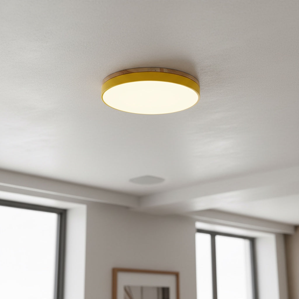 Cielora Round Flush Mount Ceiling Lamp Minimal Profile - Modern Interior Decor