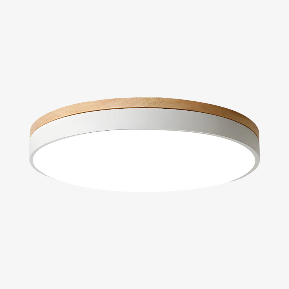 Cielora Round Flush Mount Ceiling Lamp Minimal Profile - Modern Interior Decor