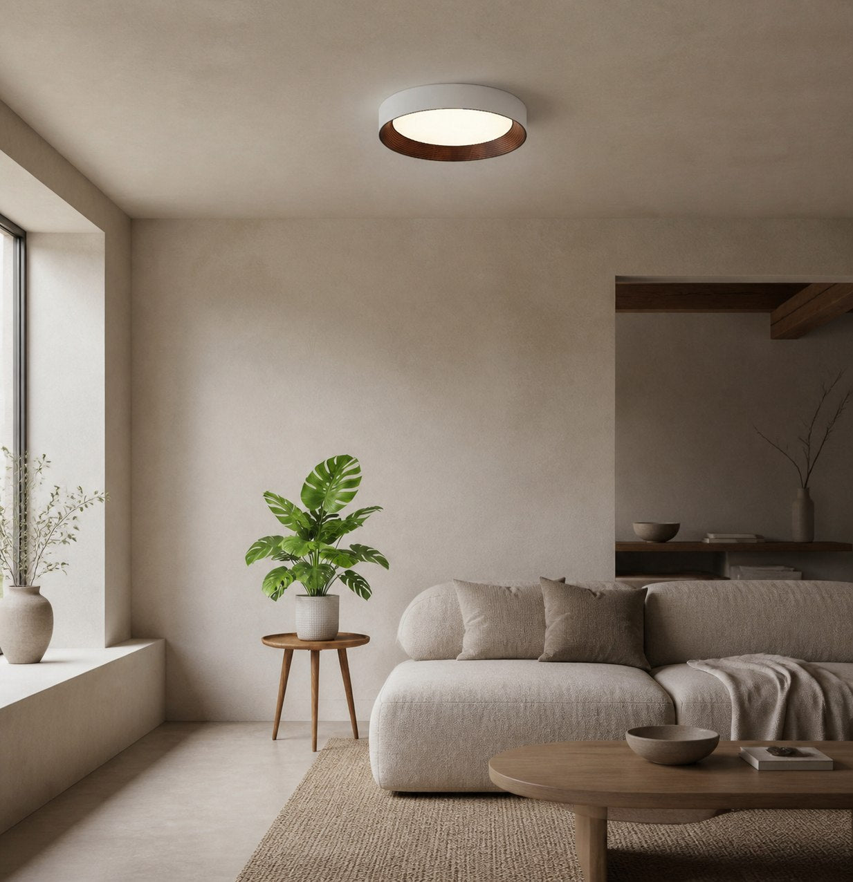 Crelina Contemporary Ceiling Light - Indoor Flush Fixture for Hallway and Dining Area U16