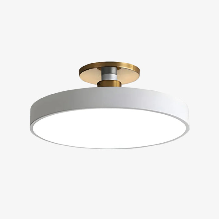Ceilivon Ceiling Light Wide Diffuser Flush Mount Ceiling Light - Modern Style for Living Room