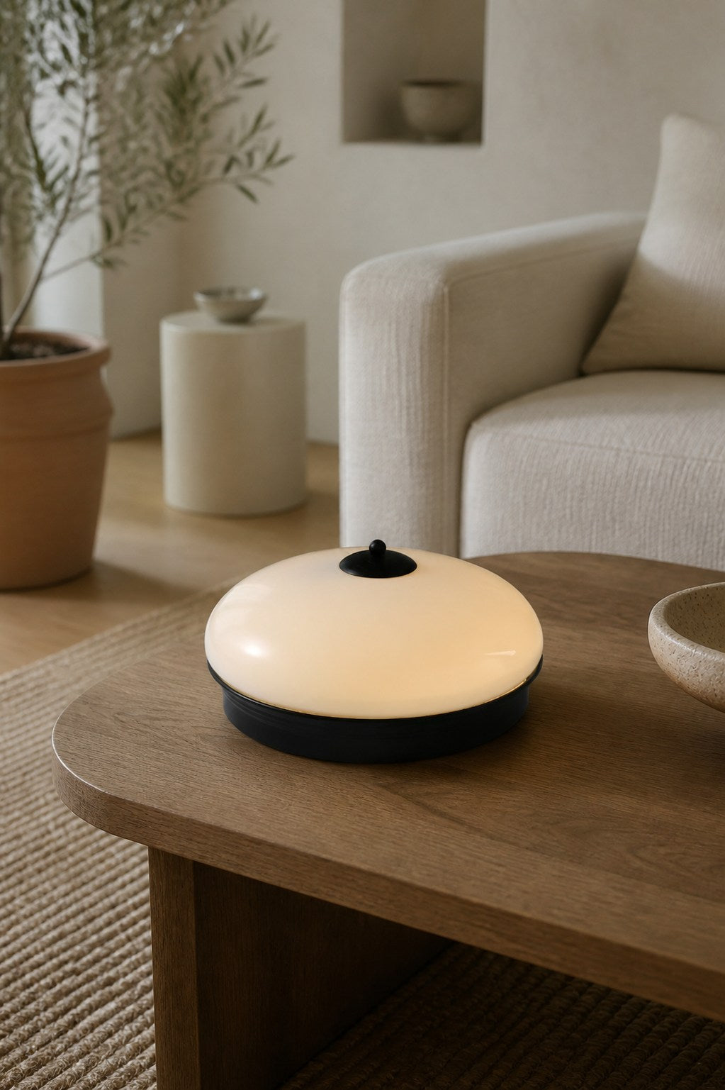 Ludo Round Ceiling Light