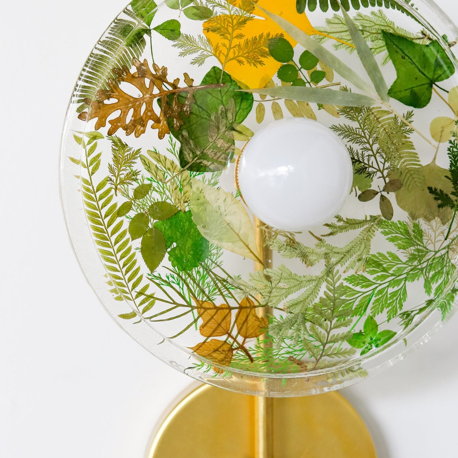 Resin Botanical Wall Sconce - Nature Inspired Flush Mount Lighting