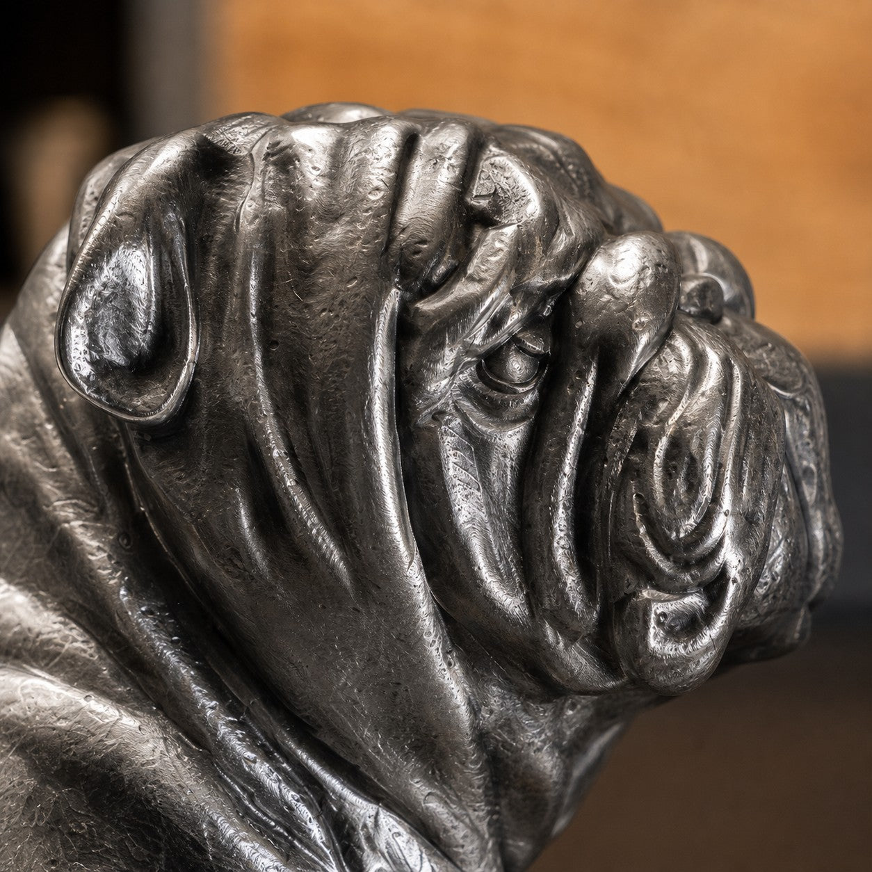Floxo English bulldog face detail