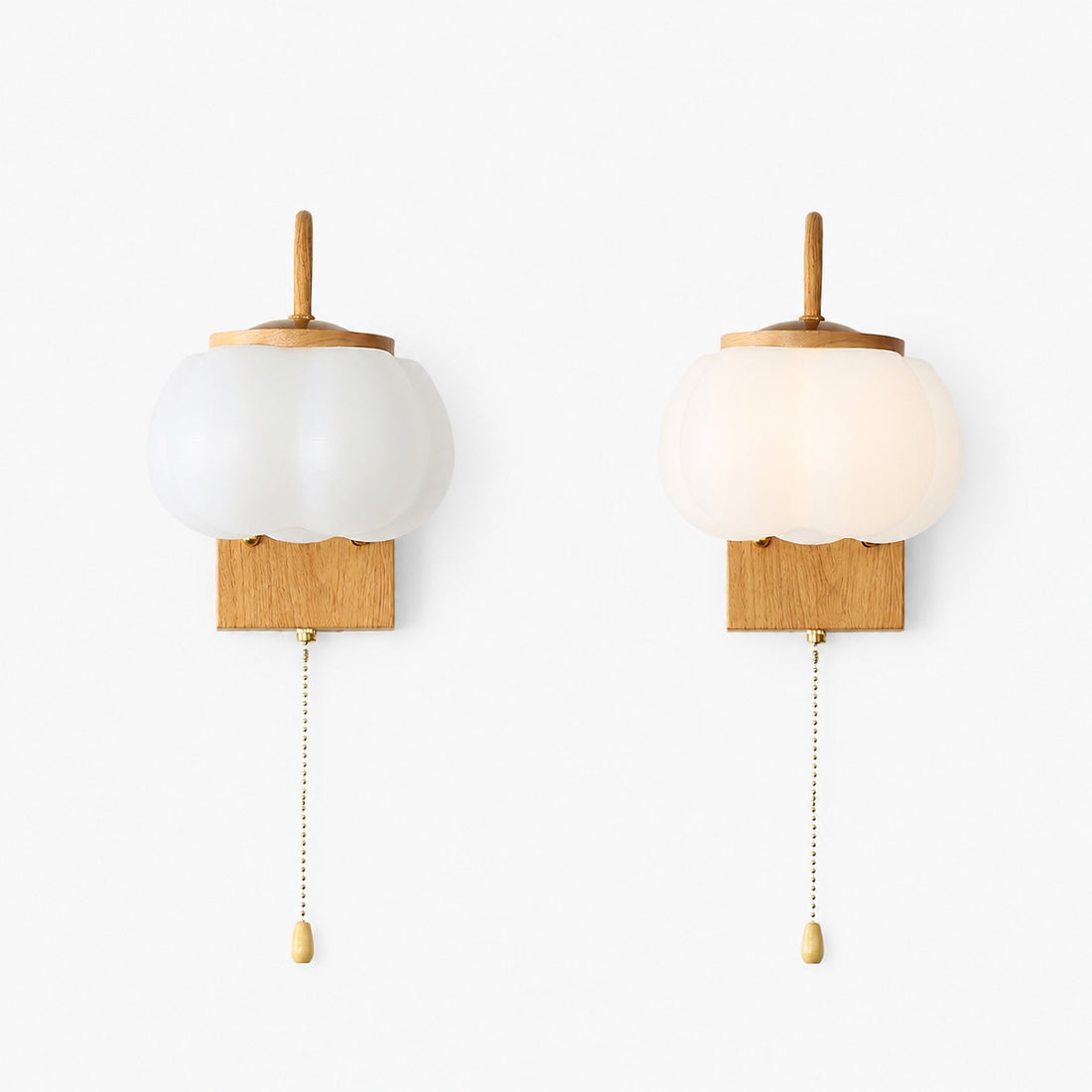 Kapok Flower Wall Lamp