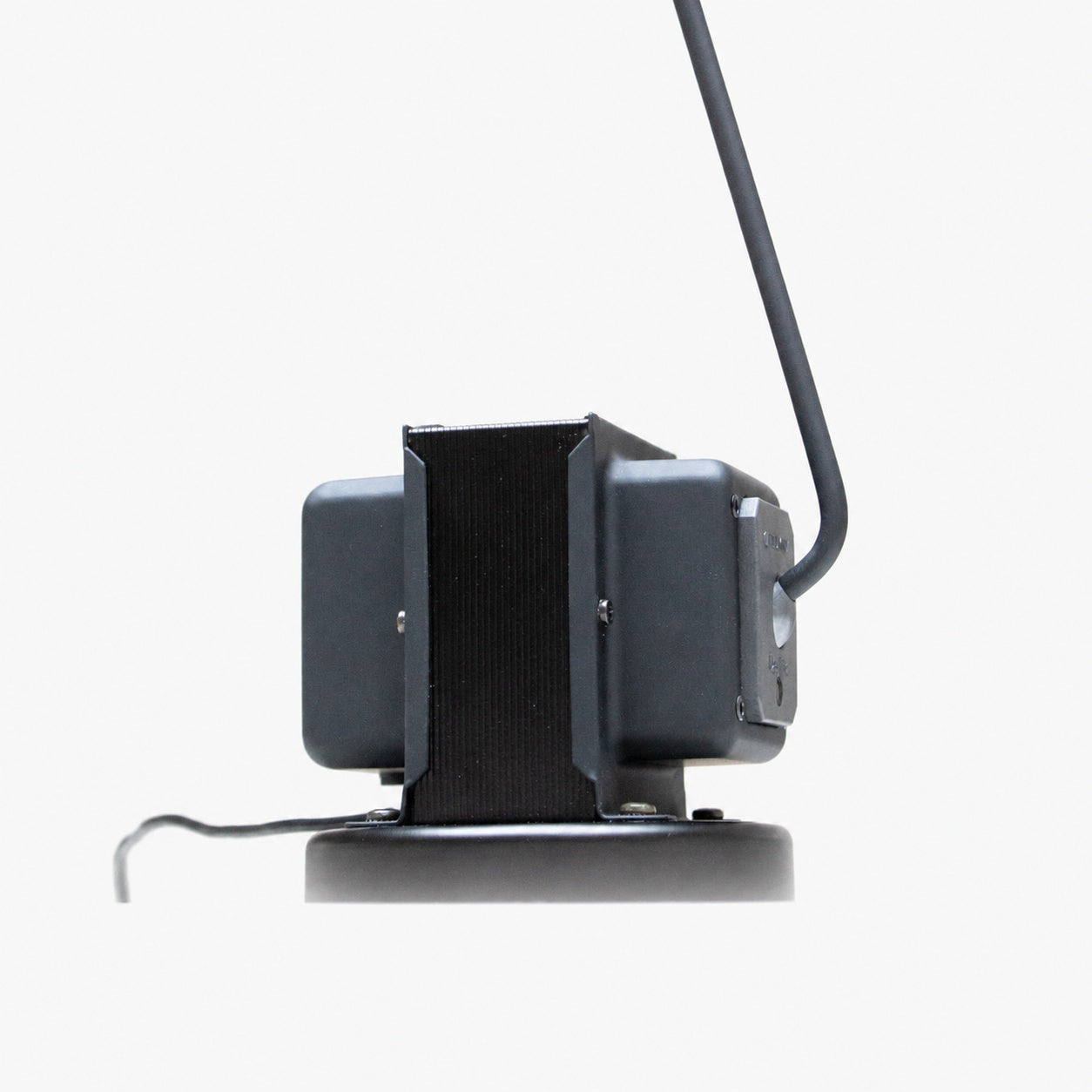 Daphine Table Lamp