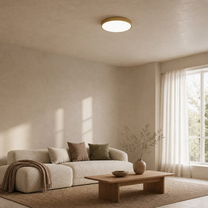 Rondi Minimalist Round LED Ceiling Light - Circular Iron Design for Living Room and Bedroom