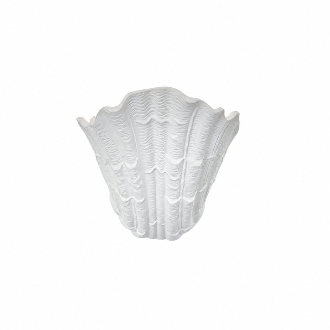 Seavira Organic Seashell Texture Wall Light - Modern Plaster Sconce for Living Room and Entryway