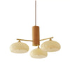 Medieval Log Style Vintage Glass Chandelier