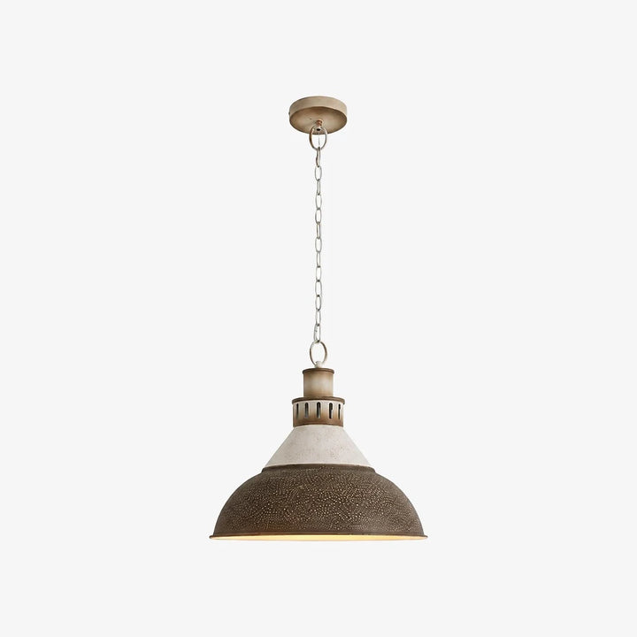 industrial dome pendant light color variant