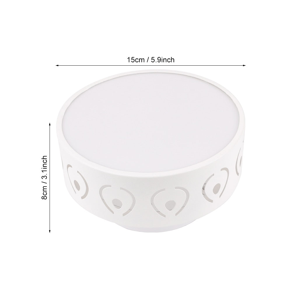 Modern Surface Mount Round LED Ceiling Light
